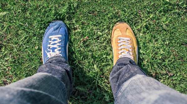 莫纳什大学马来西亚分校签证怎么办？新生必看的签证指南